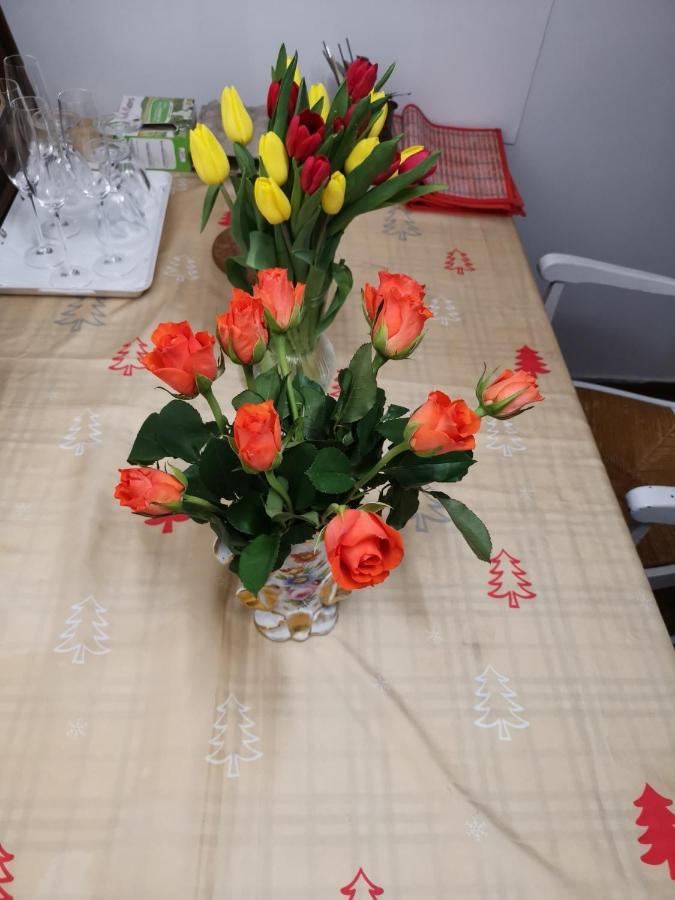 维勒瑞夫Rose公寓 外观 照片